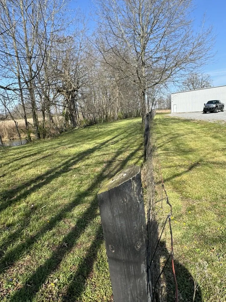 Local yard cleanup service for homes in Harrodsburg, KY by Collins Lawn Services