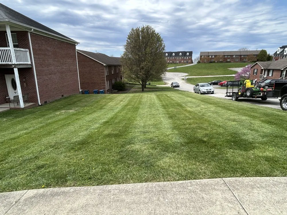 Professional yard maintenance for year-round maintenance across Harrodsburg, KY - Collins Lawn Services