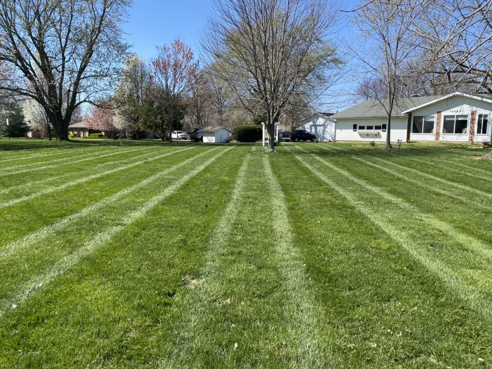 Local lawn care service in Willard, MO - Collins Lawn