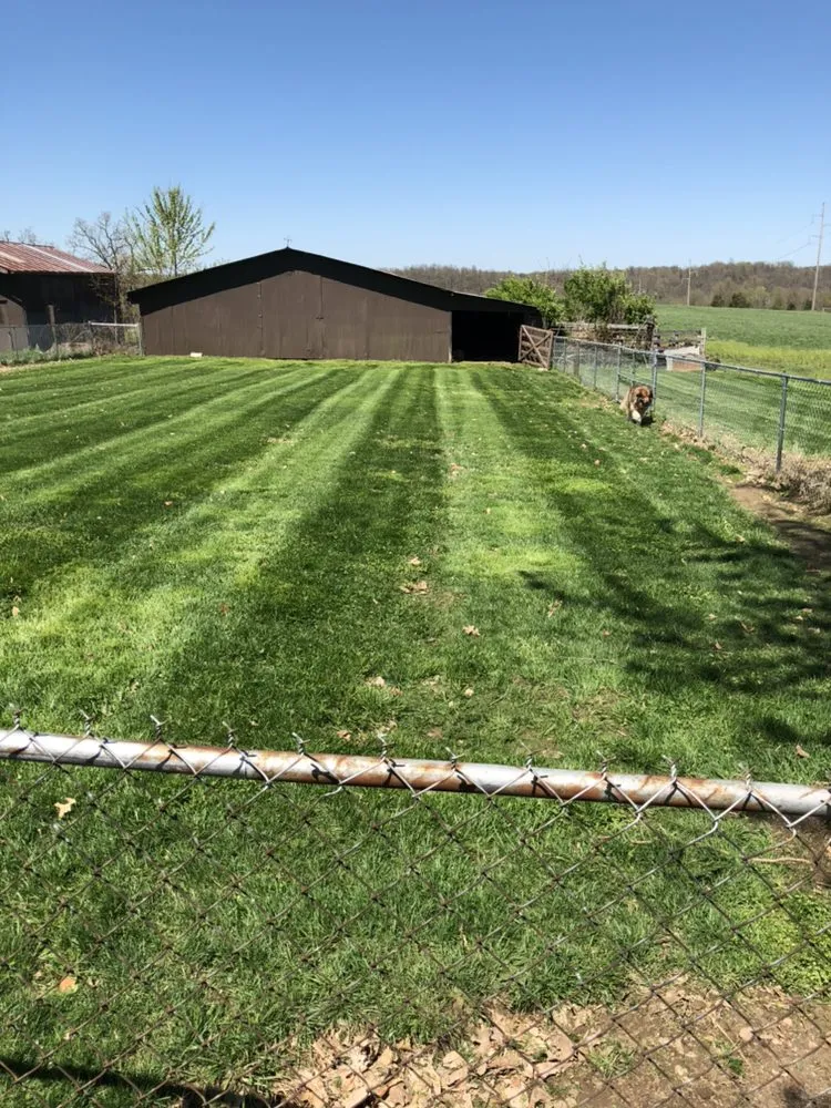 Professional garden landscaping experts serving Willard, MO - Collins Lawn