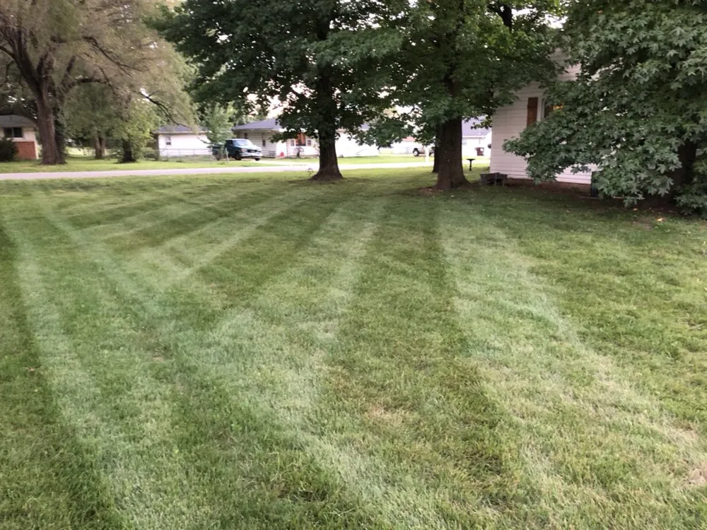 Affordable landscape design experts serving Willard, MO - Collins Lawn