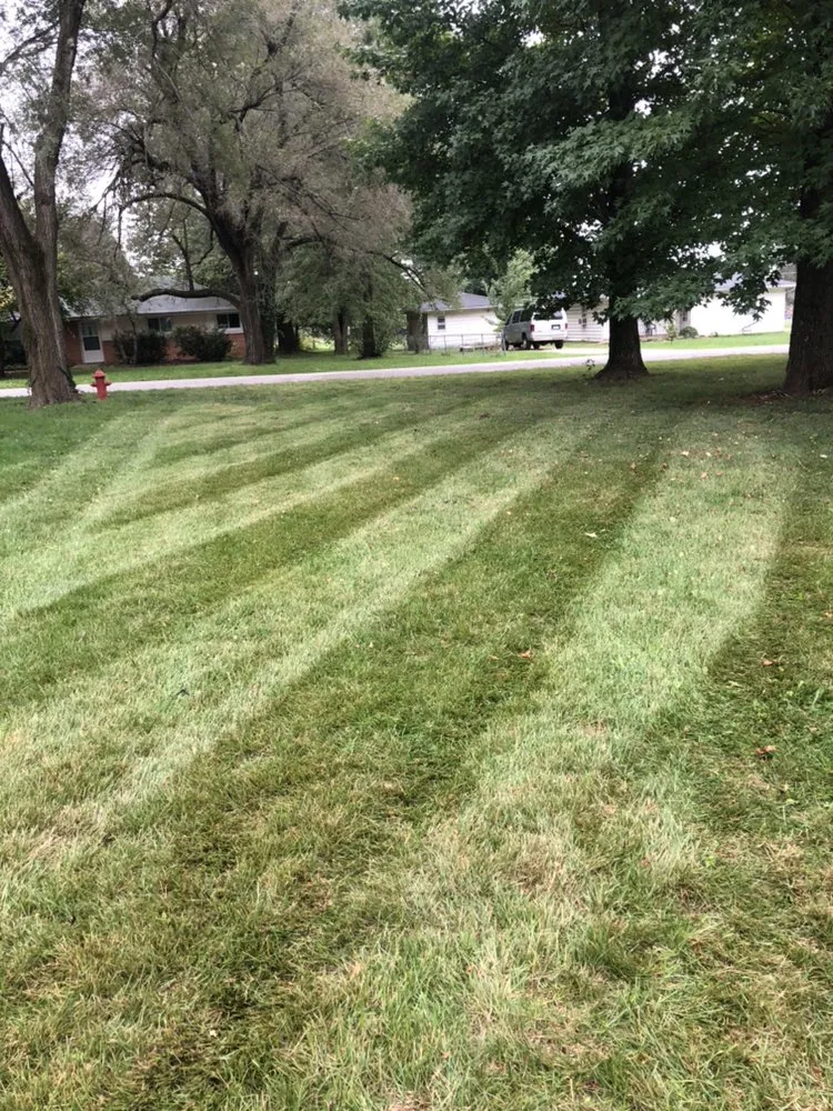 Reliable landscaping services experts serving Willard, MO - Collins Lawn