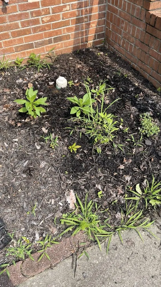 Affordable lawn mowing service experts serving Easley, SC - Collins Legacy Lawncare