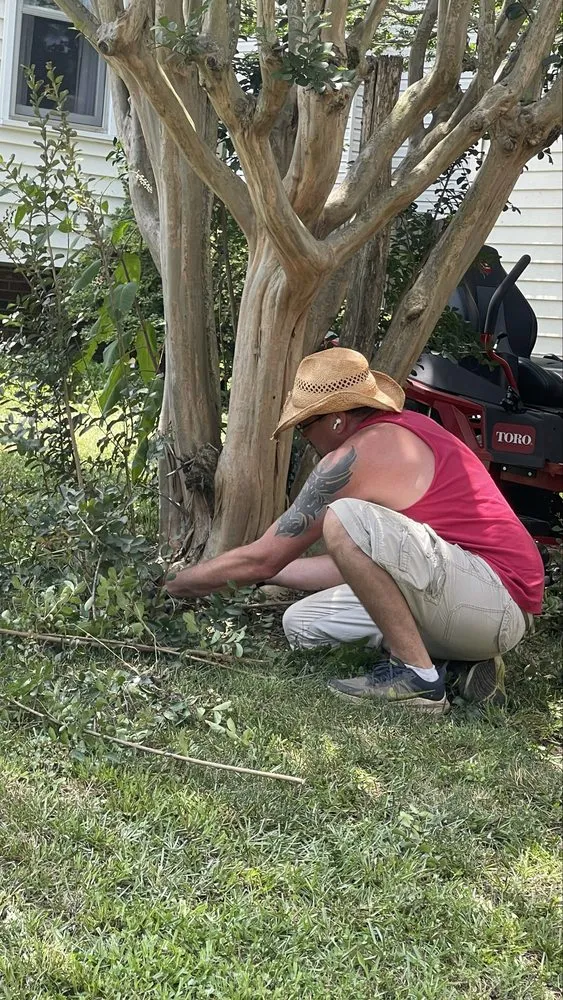 Affordable residential landscaping for year-round maintenance in Easley, SC by Collins Legacy Lawncare