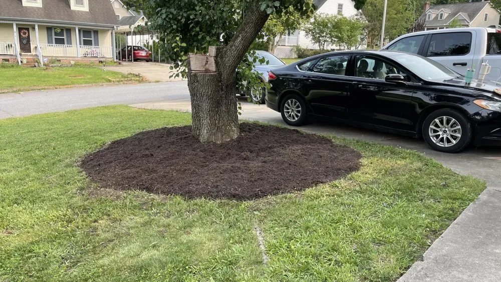 Professional outdoor landscaping near you in Easley, SC by Collins Legacy Lawncare