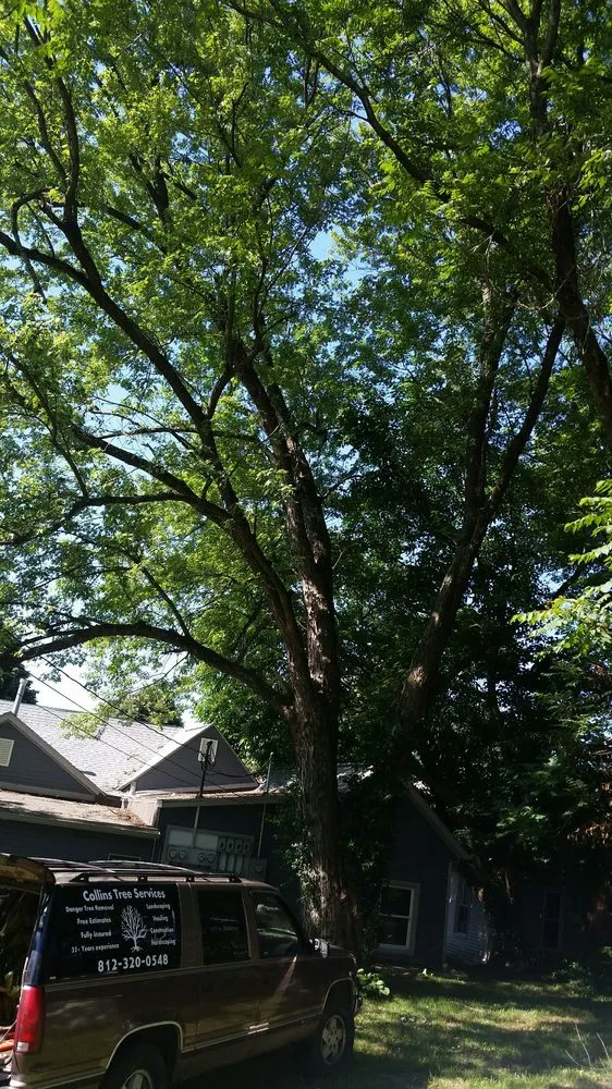 Affordable outdoor landscaping in Bloomington, IN by Collins Tree Services