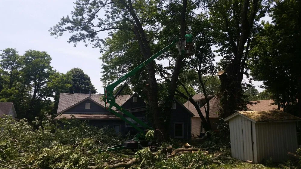 Reliable outdoor landscaping experts serving Bloomington, IN - Collins Tree Services