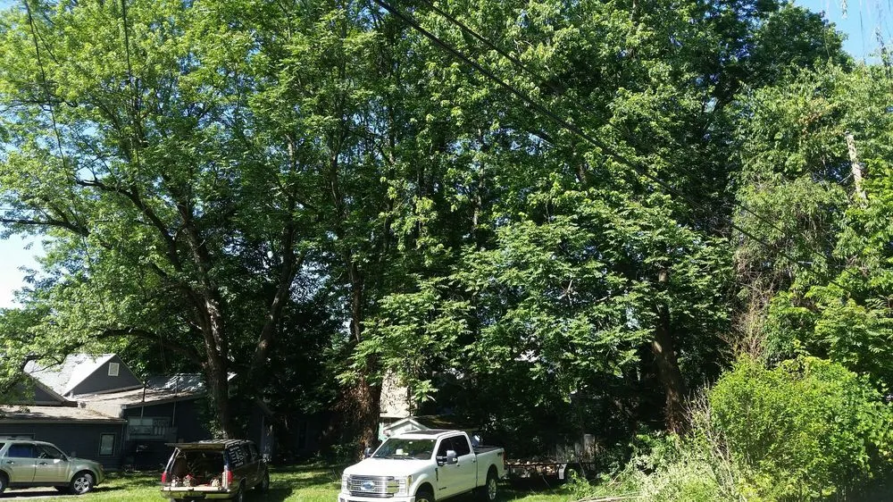 Professional garden landscaping in Bloomington, IN by Collins Tree Services