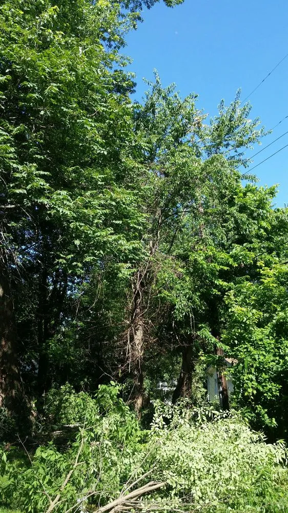 Custom garden landscaping with custom design in Bloomington, IN by Collins Tree Services