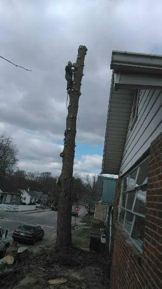 Trusted garden landscaping in Bloomington, IN - Collins Tree Services