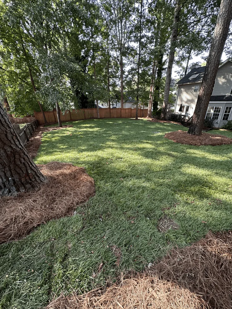 Affordable landscaping services for residential properties across Simpsonville, SC - CollinsBrooke Landscape Construction