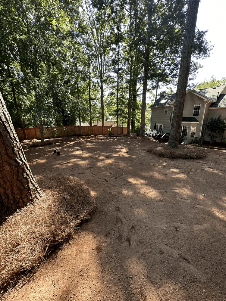 Trusted garden landscaping for year-round maintenance across Simpsonville, SC - CollinsBrooke Landscape Construction