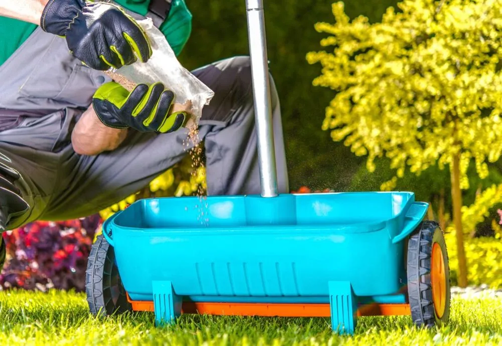 Top-rated yard maintenance experts serving Collinsville, IL - Collinsville Lawn Care