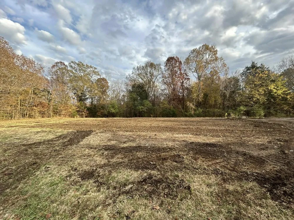 Affordable lawn mowing service for year-round maintenance in Collinwood, TN by Collinwood Excavation