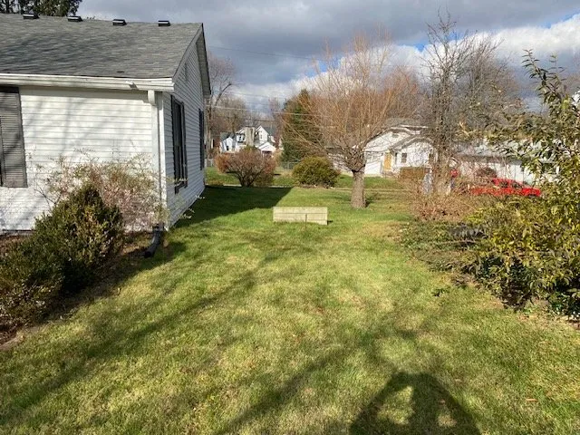 Custom yard cleanup service experts serving Knightstown, IN - Collis Clean-Up & Construction