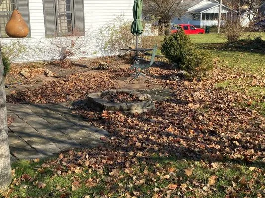 Collis Clean-Up & Construction