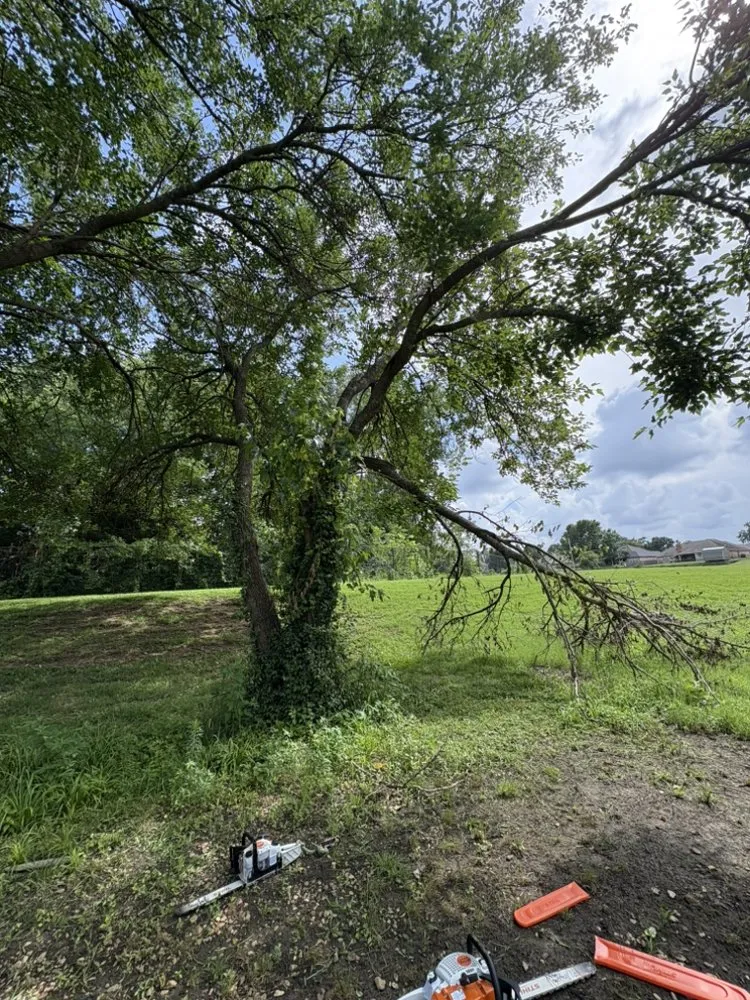 Affordable landscape installation experts serving Bartlesville, OK - Colliver Lawn & Tree Care