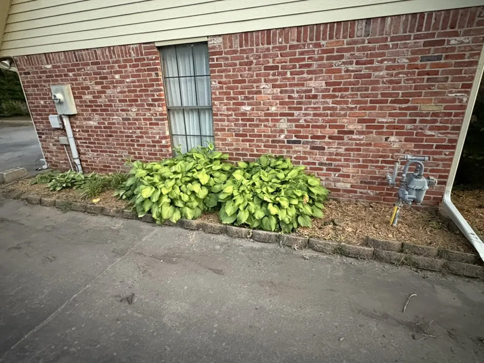 Top-rated landscaping services for beautiful yards across Bartlesville, OK - Colliver Lawn & Tree Care