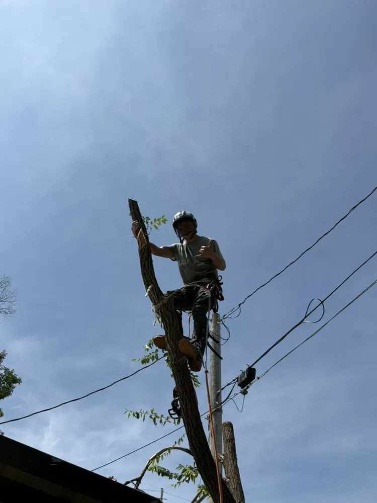 Trusted garden landscaping for outdoor upgrades in Bartlesville, OK by Colliver Lawn & Tree Care