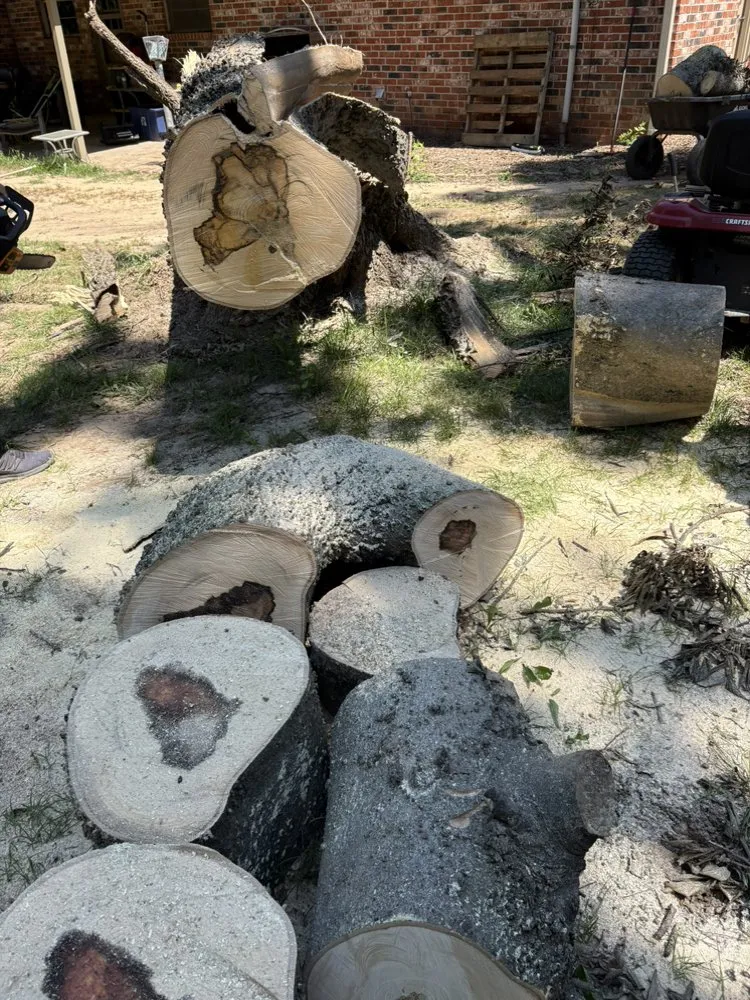 Affordable yard cleanup service in Bartlesville, OK by Colliver Lawn & Tree Care