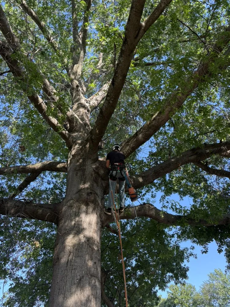 Custom outdoor landscaping for residential properties across Bartlesville, OK - Colliver Lawn & Tree Care
