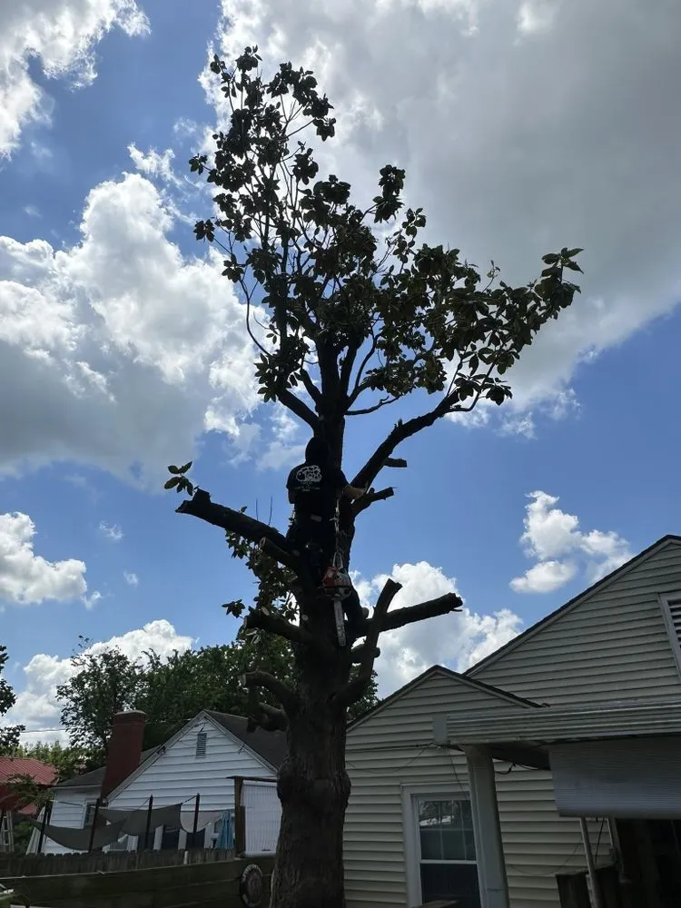 Affordable garden landscaping in Bartlesville, OK by Colliver Lawn & Tree Care