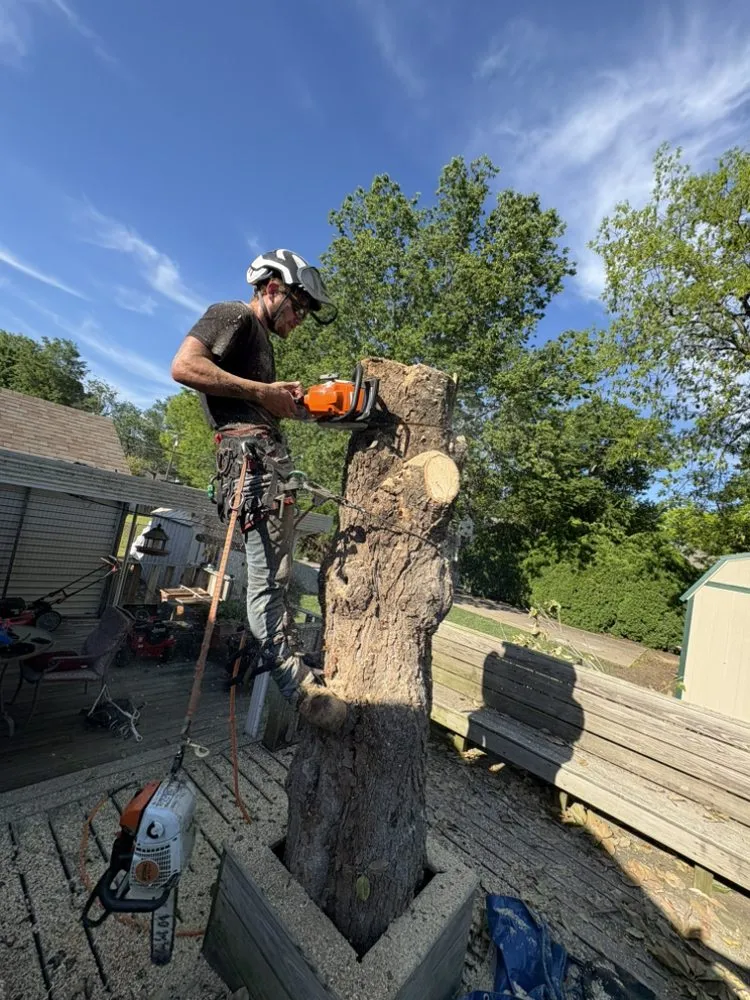 Reliable lawn care service with custom design in Bartlesville, OK by Colliver Lawn & Tree Care