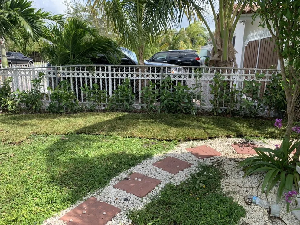 Affordable residential landscaping near you across Miami, FL - Colombia's Landscaping & Tree Services