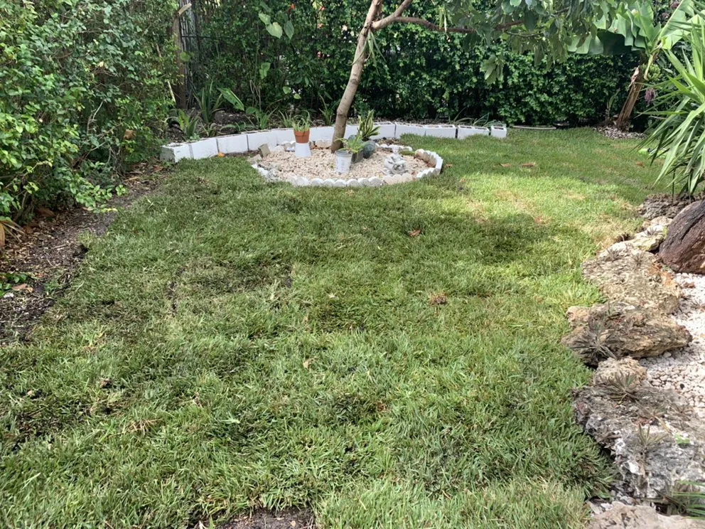 Reliable yard maintenance for outdoor upgrades across Miami, FL - Colombia's Landscaping & Tree Services