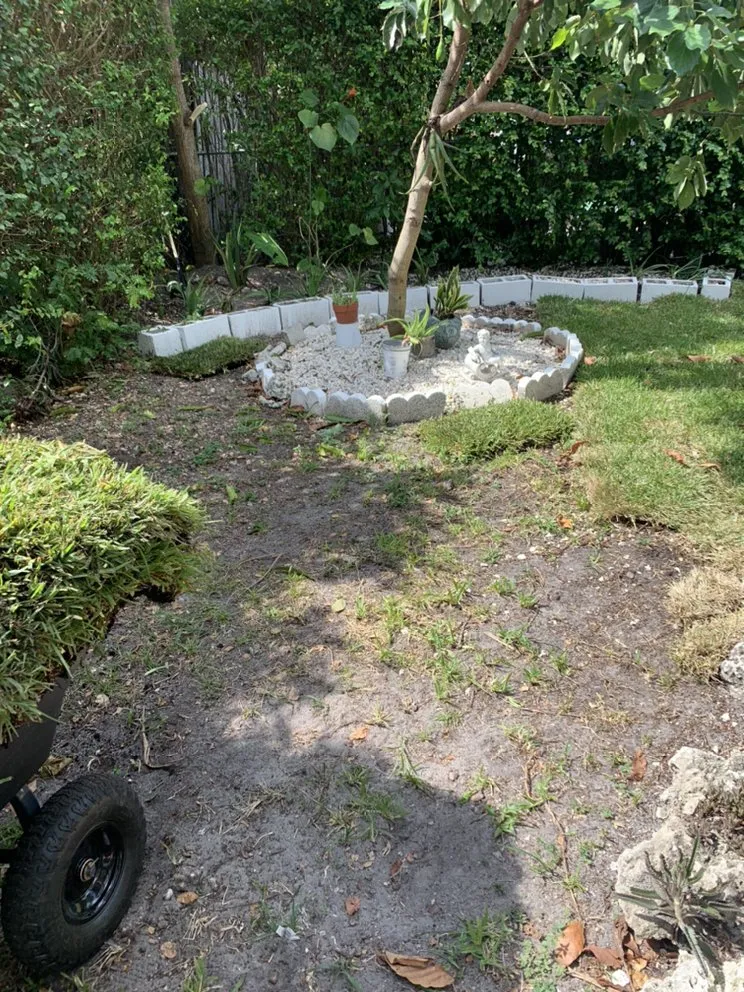 Reliable lawn mowing service in Miami, FL - Colombia's Landscaping & Tree Services