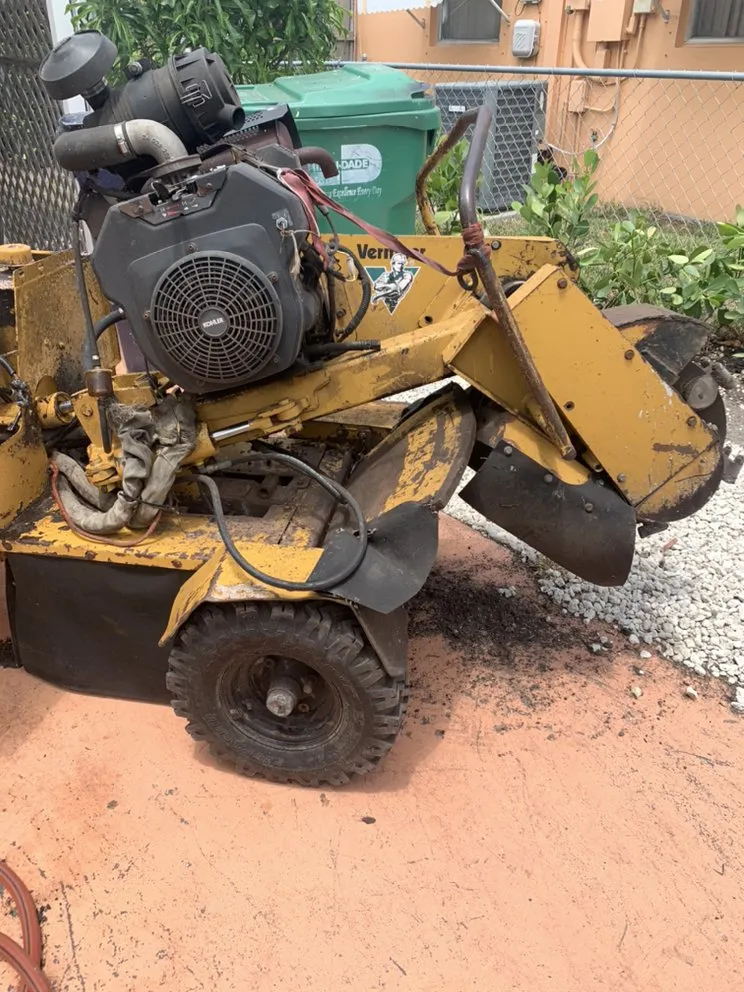 Professional residential landscaping experts serving Miami, FL - Colombia's Landscaping & Tree Services