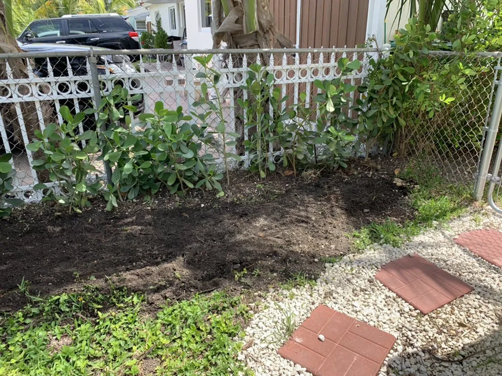 Trusted residential landscaping for year-round maintenance in Miami, FL by Colombia's Landscaping & Tree Services