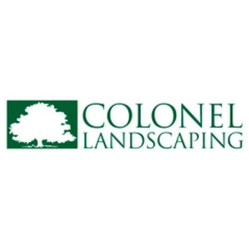Professional landscape design for year-round maintenance across Oakdale, CT - Colonel Landscaping