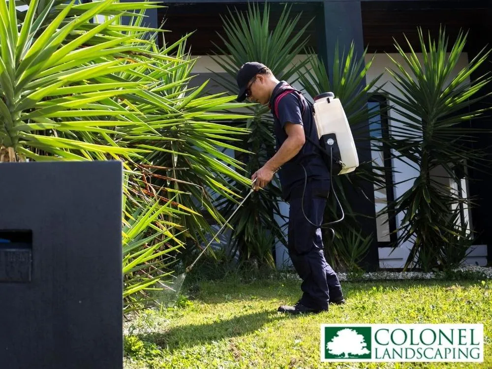 Custom lawn care service experts serving Oakdale, CT - Colonel Landscaping