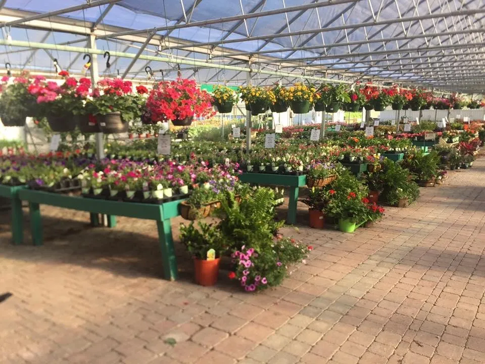 Local yard maintenance for homes in Newburgh, IN by Colonial Classics