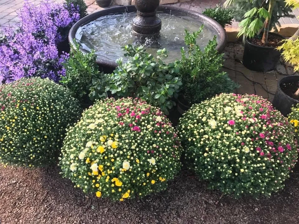 Expert lawn mowing service with custom design across Newburgh, IN - Colonial Classics