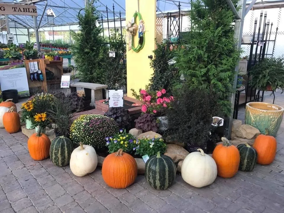 Reliable landscape installation for year-round maintenance across Newburgh, IN - Colonial Classics