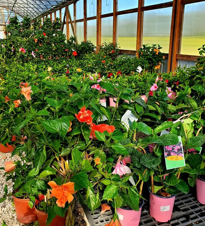 Top-rated outdoor landscaping in Newburgh, IN by Colonial Classics