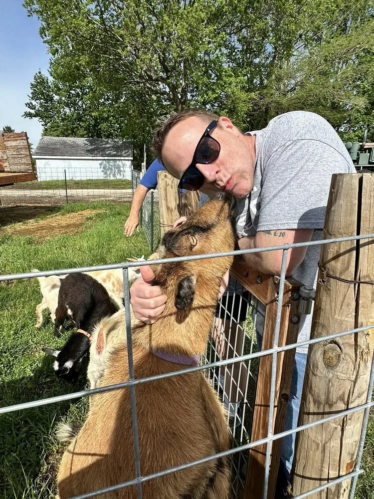 Expert outdoor landscaping for year-round maintenance in Blue Springs, MO by Colonial Gardens