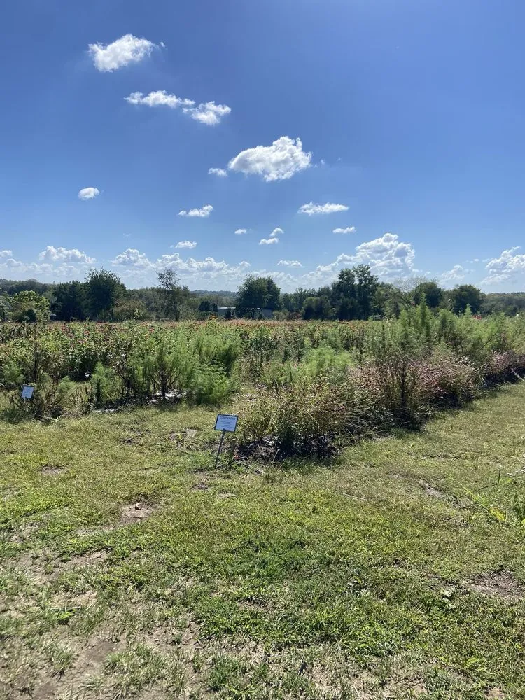 Top-rated lawn care service for year-round maintenance across Blue Springs, MO - Colonial Gardens