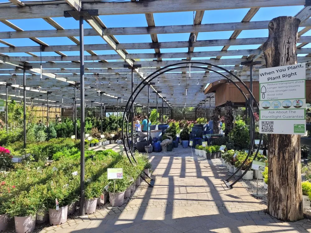 Reliable landscape installation experts serving Blue Springs, MO - Colonial Gardens