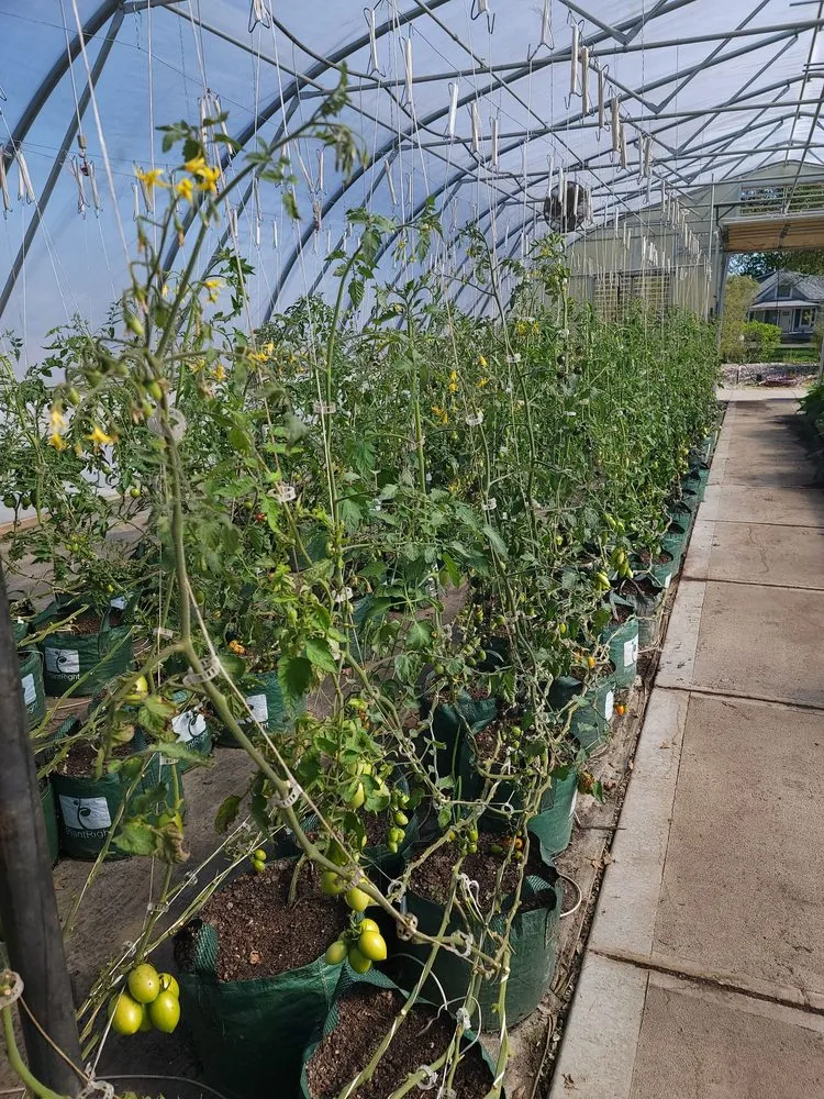 Trusted lawn care service in Blue Springs, MO - Colonial Gardens