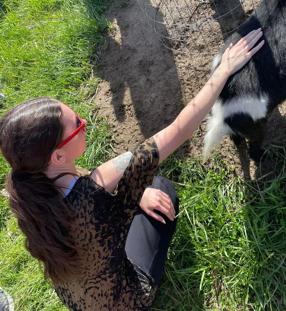 Local yard cleanup service experts serving Blue Springs, MO - Colonial Gardens