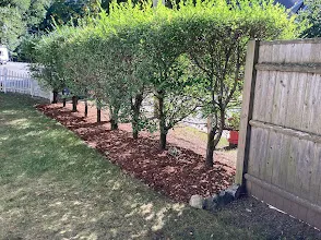 Trusted residential landscaping in Milford, MA by Colonial Greenscapes