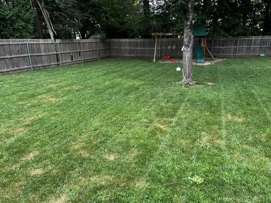 Colonial Greenscapes