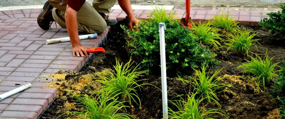 Expert landscape design in Mullica HIll, NJ by Colonial Land Design