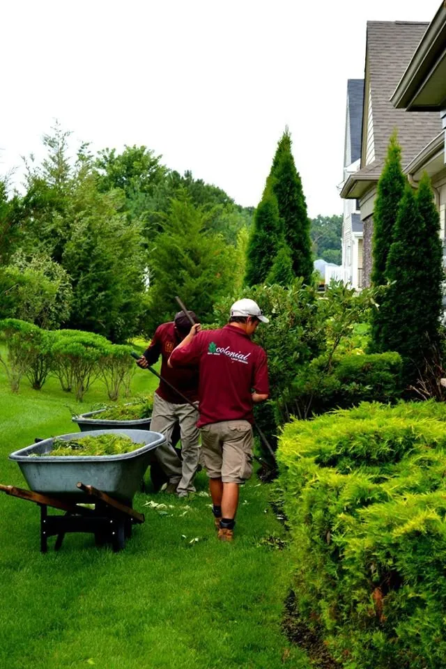 Affordable landscaping services in Mullica HIll, NJ by Colonial Land Design