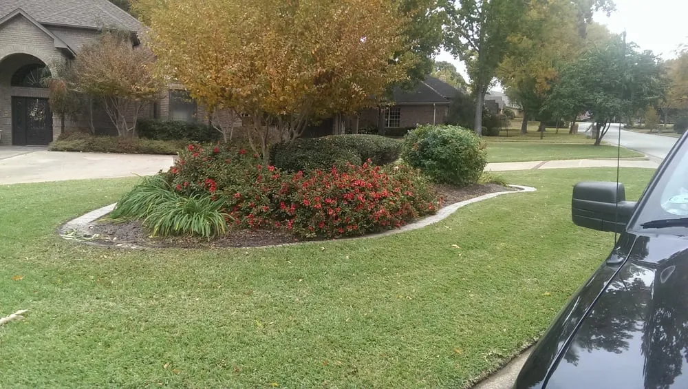 Top-rated landscape installation for year-round maintenance in Tyler, TX by Colonial Lawn Care and Landscape Services