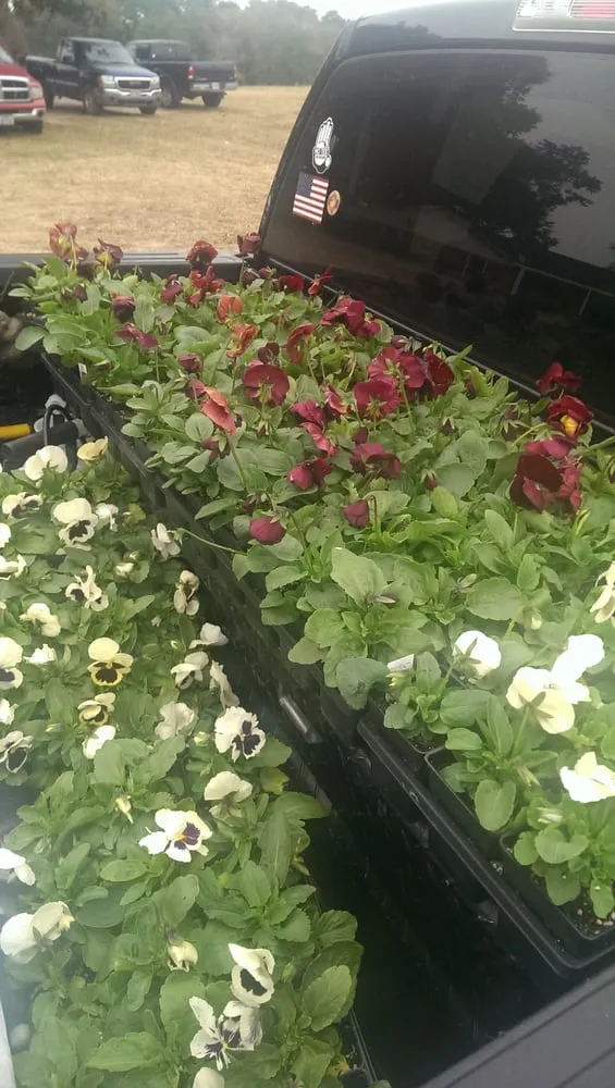 Top-rated yard maintenance in Tyler, TX by Colonial Lawn Care and Landscape Services