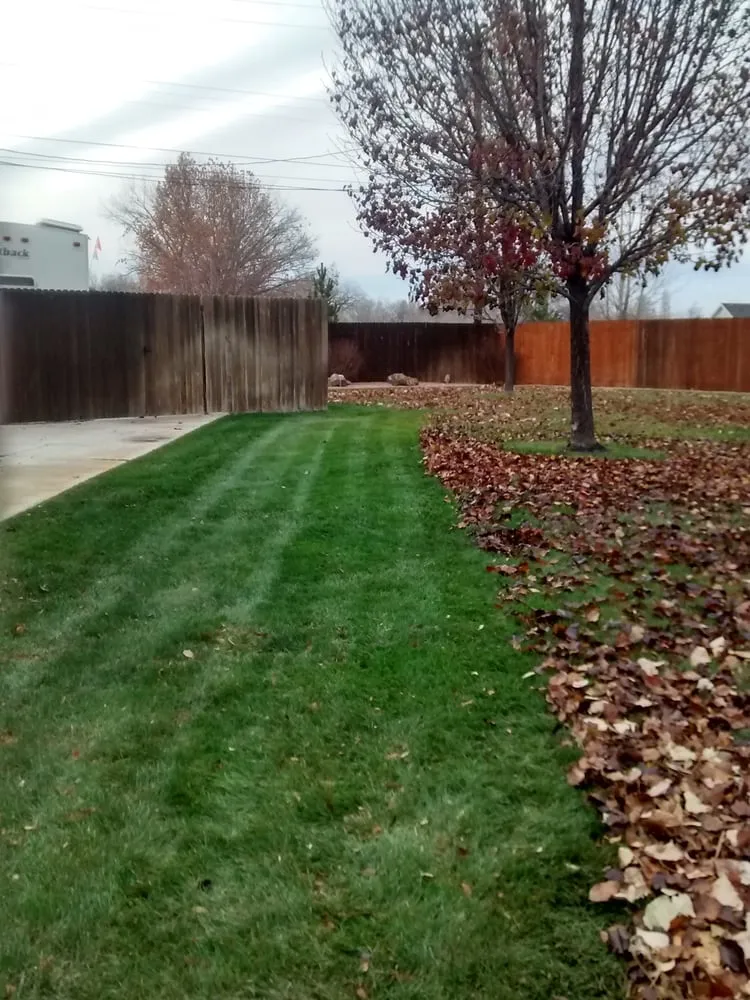 Professional lawn mowing service experts serving Tyler, TX - Colonial Lawn Care and Landscape Services